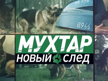 Мухтар. Новый след Мухтар. Новый след