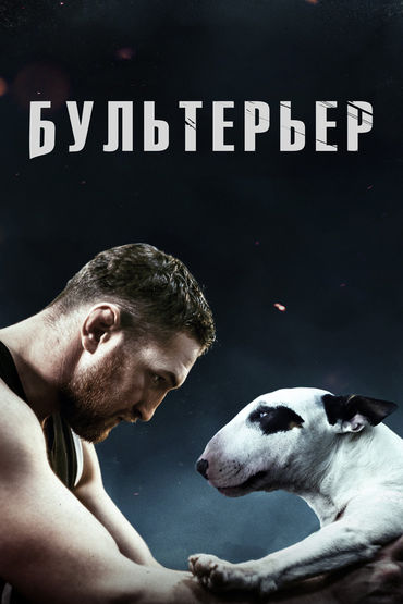 Бультерьер