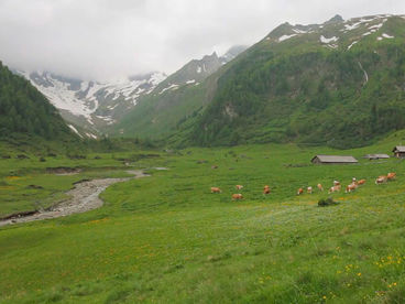 Национальный парк Хоэ Тауэрн Национальный парк Хоэ Тауэрн