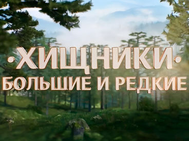 Хищники. Большие и редкие Хищники. Большие и редкие