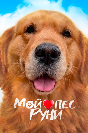 Мой пёс Руни