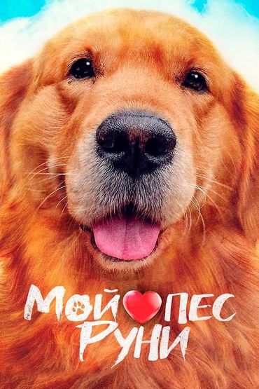 Мой пёс Руни