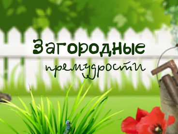 Загородные премудрости Загородные премудрости