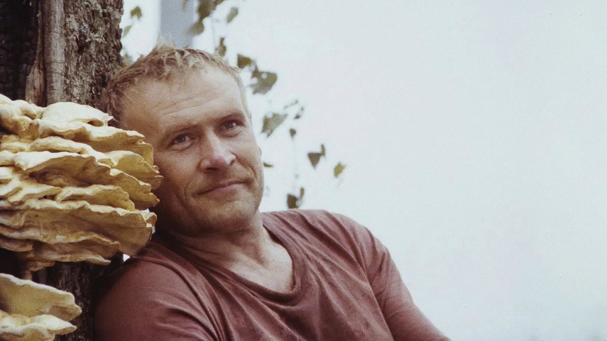 Чёрный аист