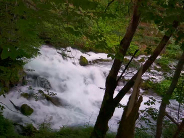 Ручей Тара Черногория Ручей Тара Черногория