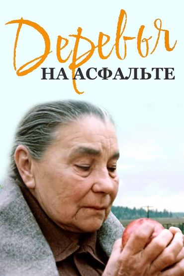 Деревья на асфальте