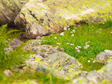 Озеро Турье 3