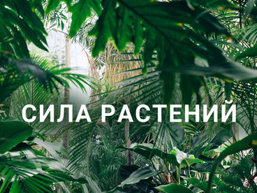 Сила растений