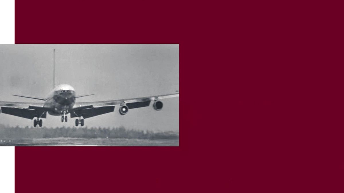 Хроника ночи