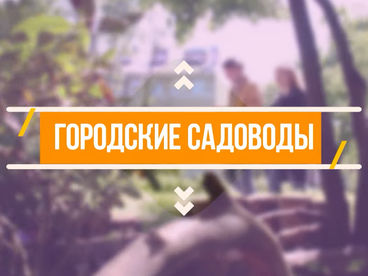 Городские садоводы Городские садоводы