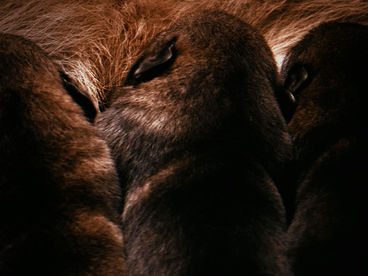 Это про любовь? Это про любовь?