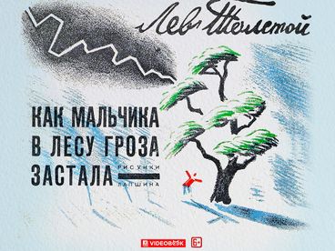 Как мальчика в лесу гроза застала