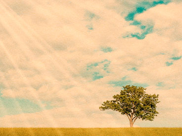 Эдем на Земле Эдем на Земле