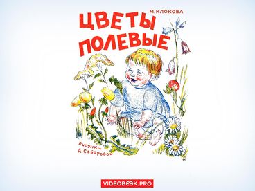 Цветы полевые