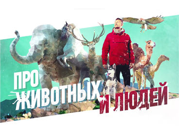 Про животных и людей
