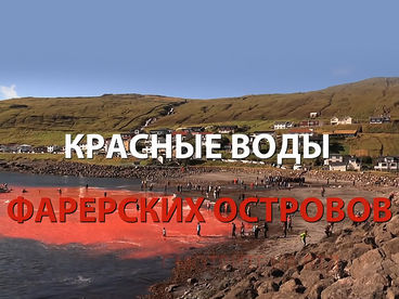 Красные воды Фарерских островов Красные воды Фарерских островов