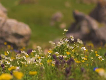 Озеро Серс Озеро Серс