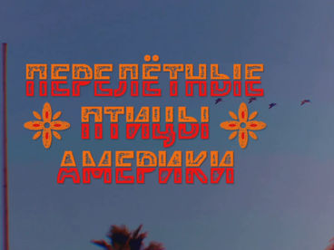 Перелётные птицы Америки