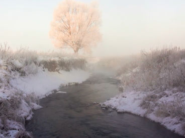 Река Узень Река Узень