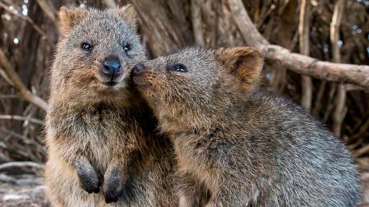 Любовь под вопросом?