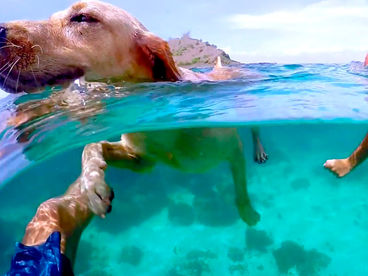 Александр Тихомиров. Океан