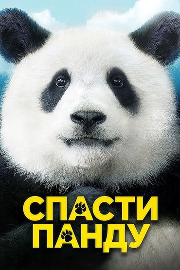 Спасти панду