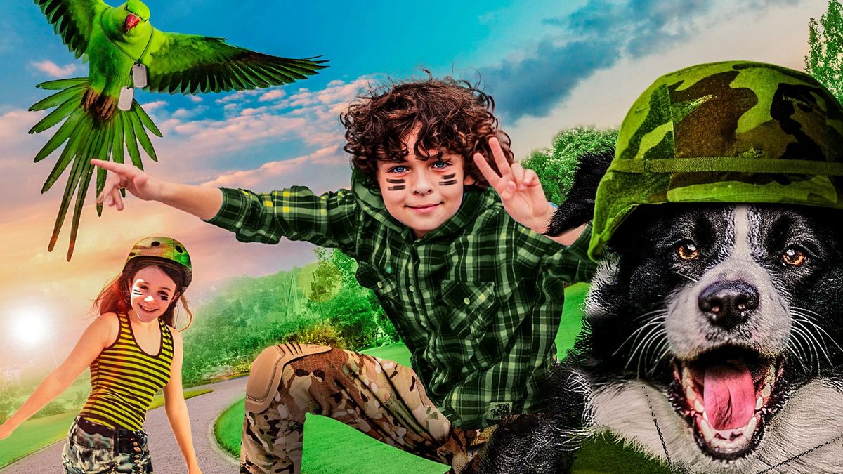 Лохматый детектив