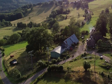 Куда улетели ласточки?