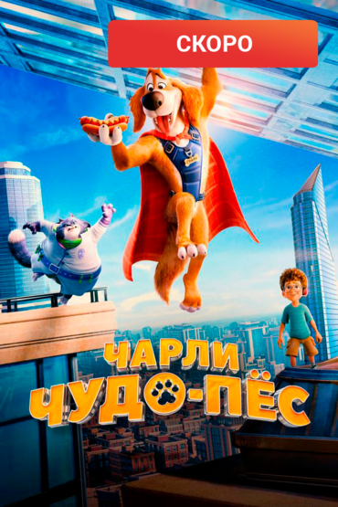 Чарли Чудо-пёс