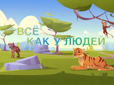 Всё как у людей Всё как у людей