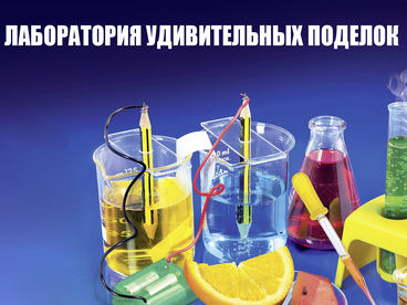 Лаборатория удивительных поделок Лаборатория удивительных поделок
