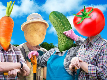 Четыре дачи Четыре дачи