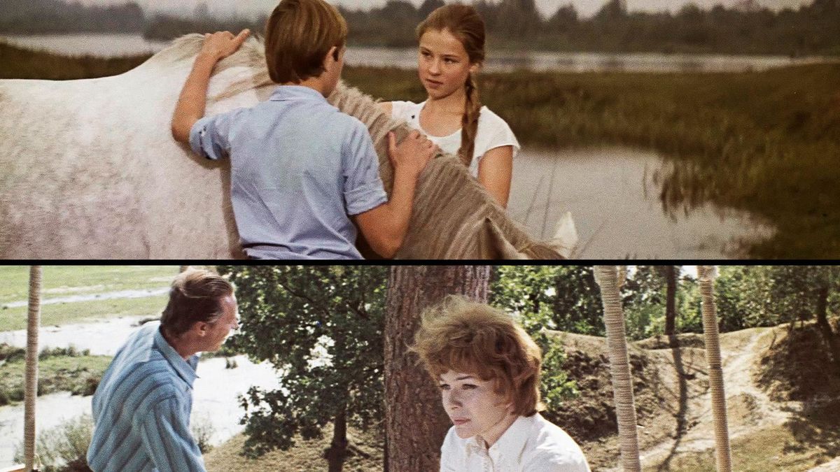 Лесные качели