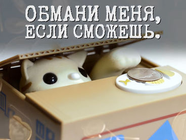 Обмани меня, если сможешь Обмани меня, если сможешь