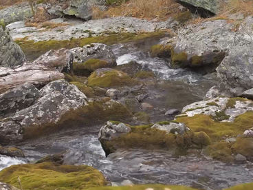 Река Куйгук Река Куйгук