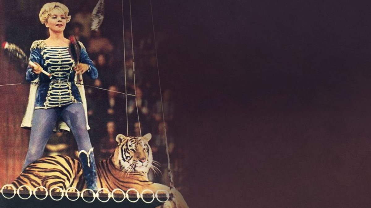 Сегодня — новый аттракцион