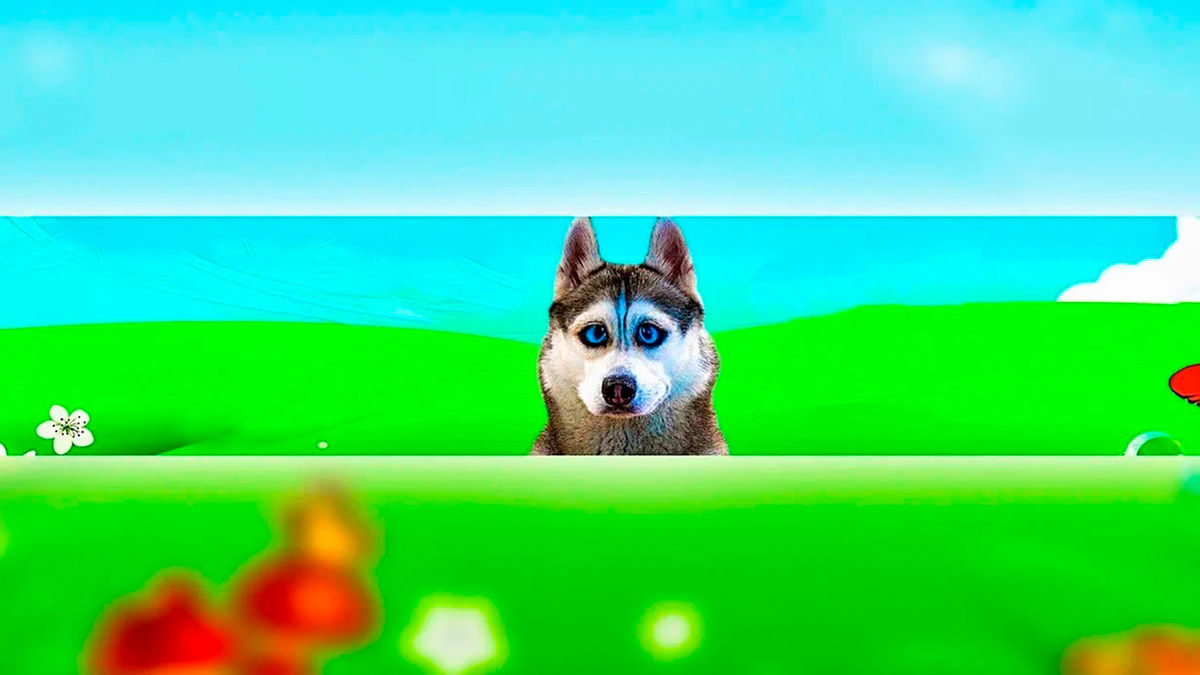 Финальная битва три кота VS Картун Кэт!! Все серии Хаски Бандит Говорящая собака