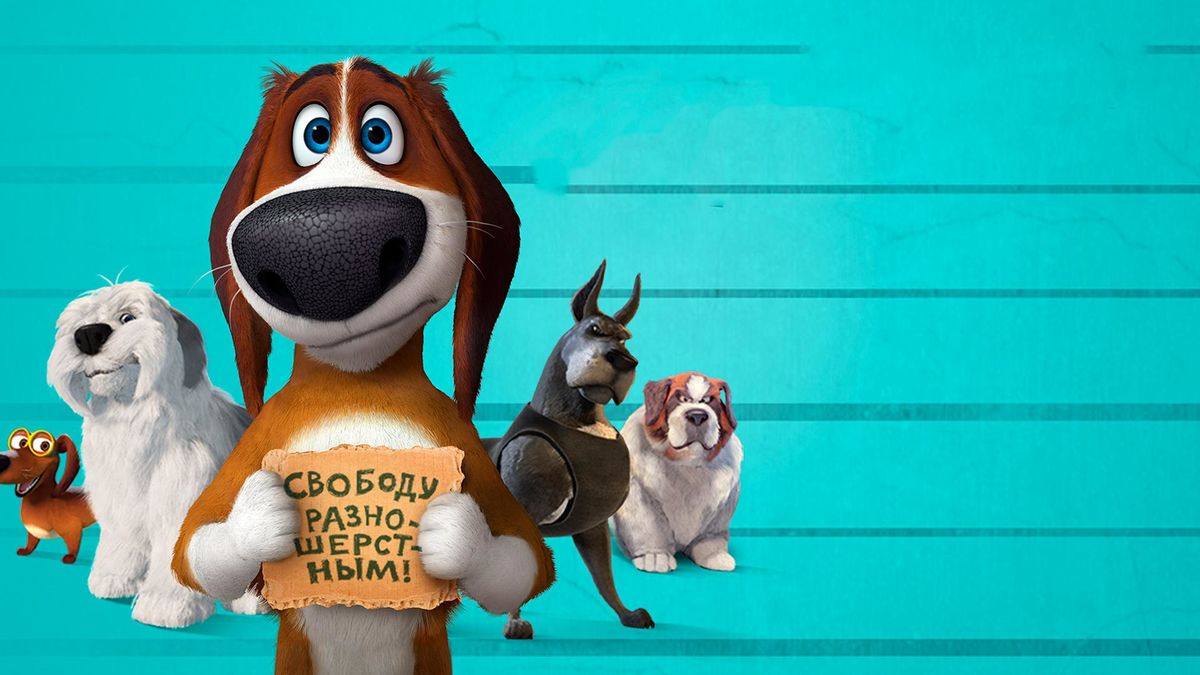 Большой собачий побег