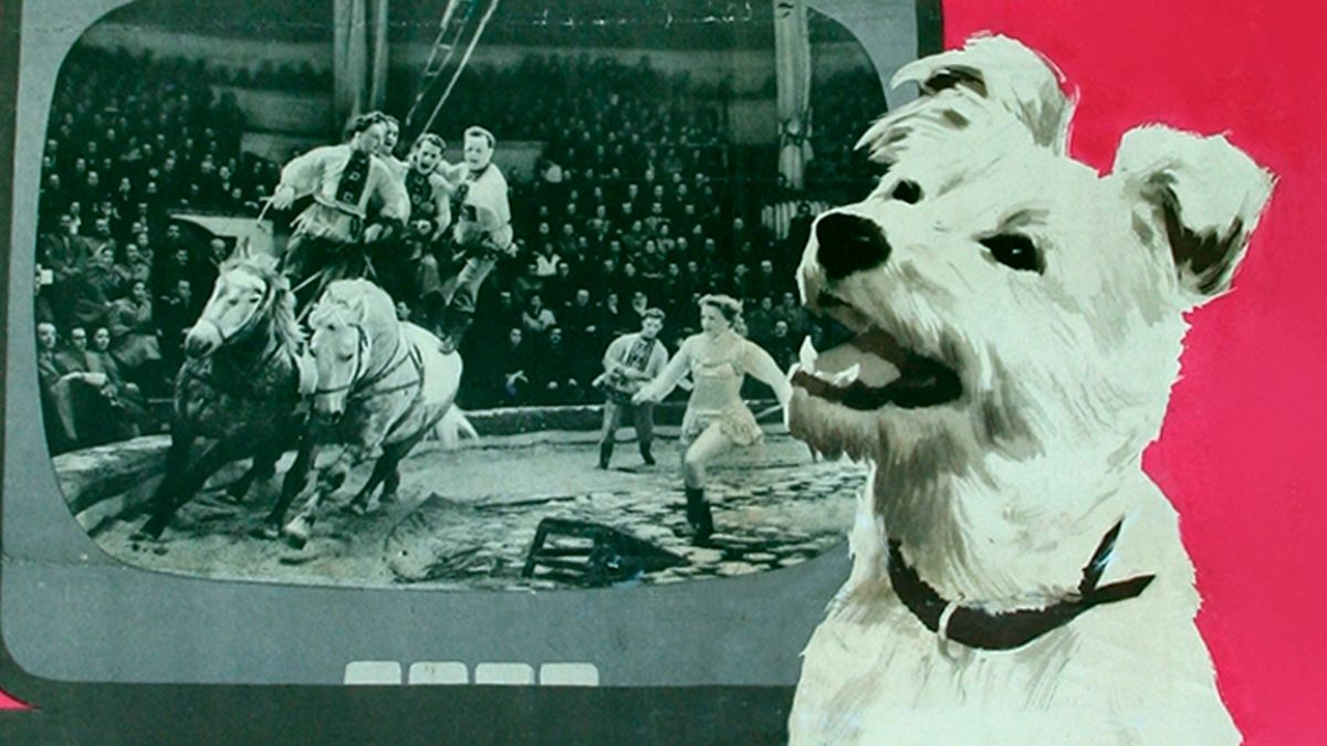 Барбос в гостях у Бобика