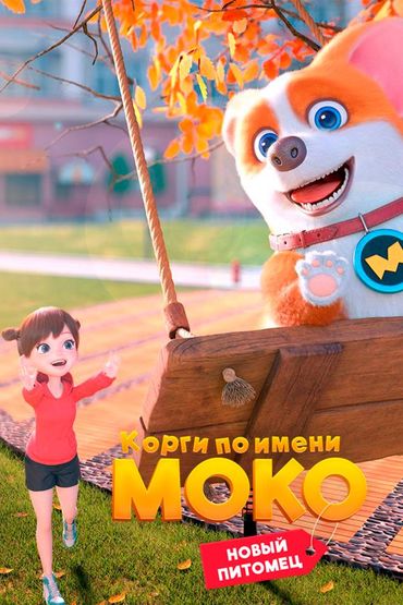 Корги по имени Моко. Новый питомец