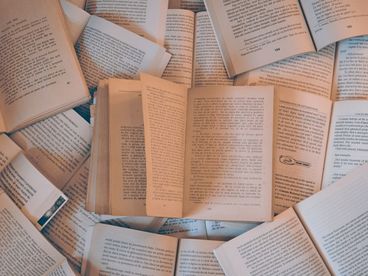 Теория гастарбайтеров Теория гастарбайтеров