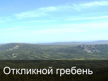 Откликной гребень Откликной гребень