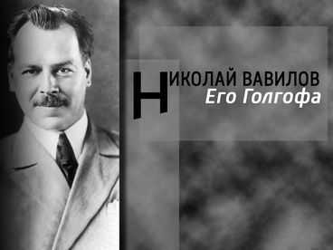 Его Голгофа. Николай Вавилов Его Голгофа. Николай Вавилов