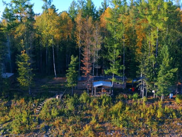 Таёжная история Таёжная история