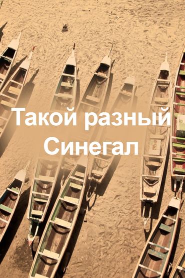 Такой разный Синегал