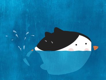 Немытый пингвин Немытый пингвин