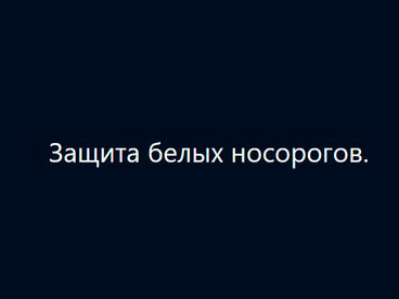 Защита белых носорогов в Южной Африке