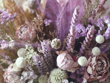 Сухоцветы Сухоцветы