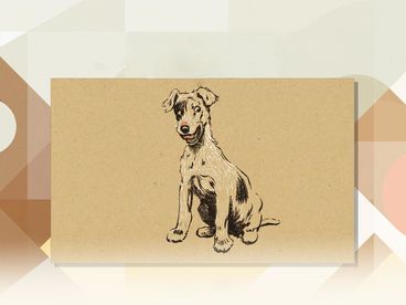 Бобкин день