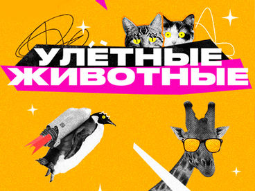 Улетные животные